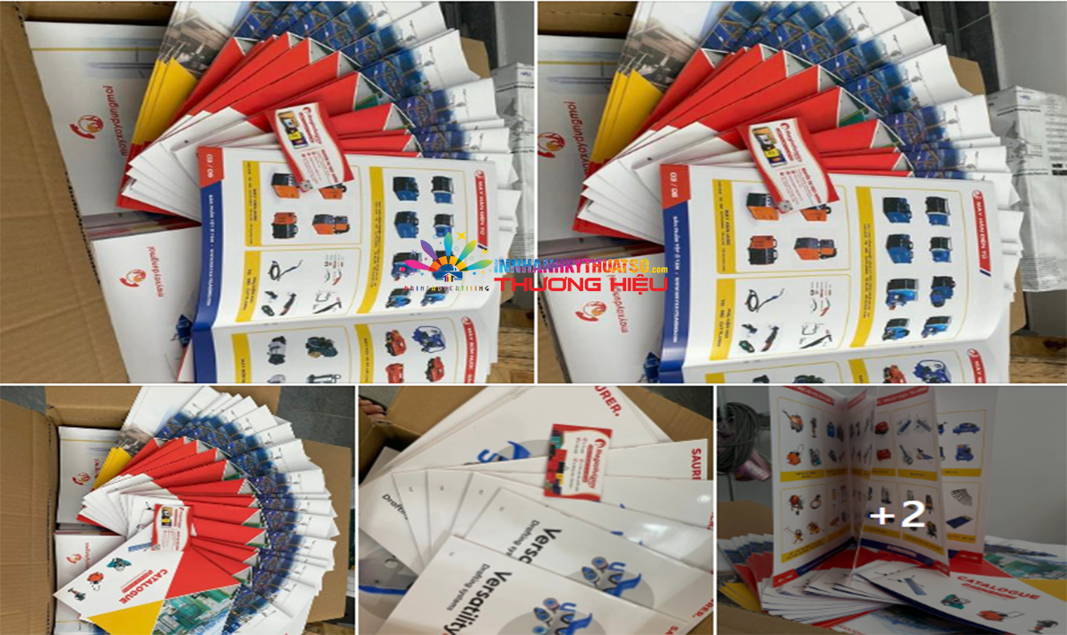 hinh anh/in catalogue/catalogue.jpg